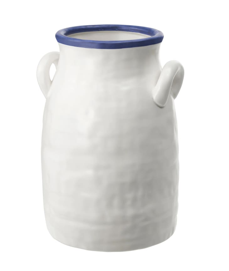 The Best AncientInspired, Double Handled Jug Vases for a Classic Decor